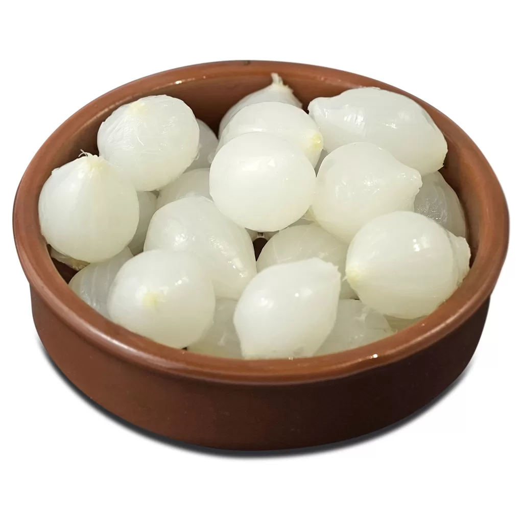 Encurtido_cebollita_02